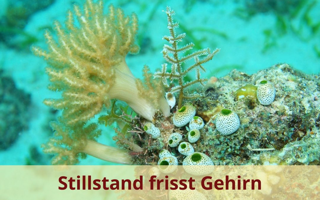 Monika Eisenbeutel Blog Stillstand frisst Gehirn