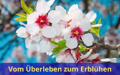Vom Überleben zum Erblühen – das kostbare Menschenleben voll ausschöpfen