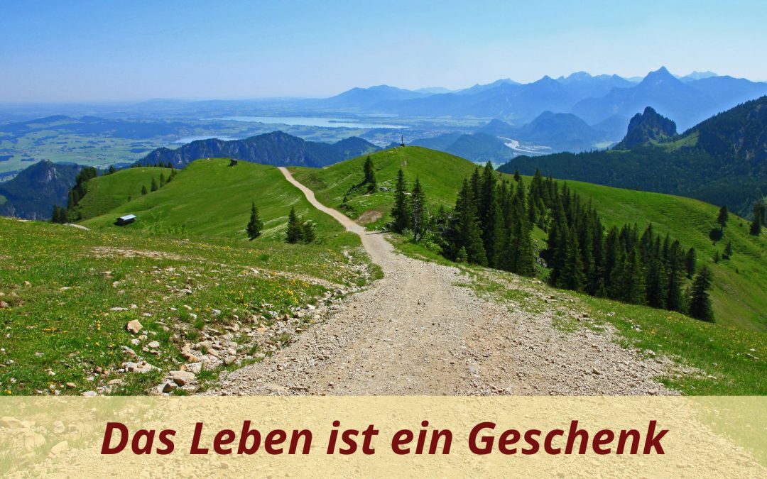 Monika Eisenbeutel Blog Das Leben ist ein Geschenk deine Entscheidung