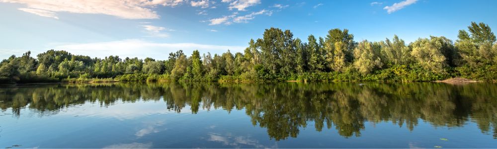 Stille Momente im hektischen Alltag: Entdecke die Kraft einfacher Meditationen