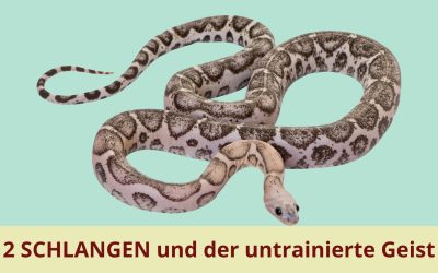 Zwei Schlangen und der untrainierte Geist