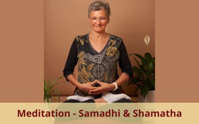 Was ist Meditation und wie entwickelt man einspitzige Konzentration (Samadhi)? Teil 1